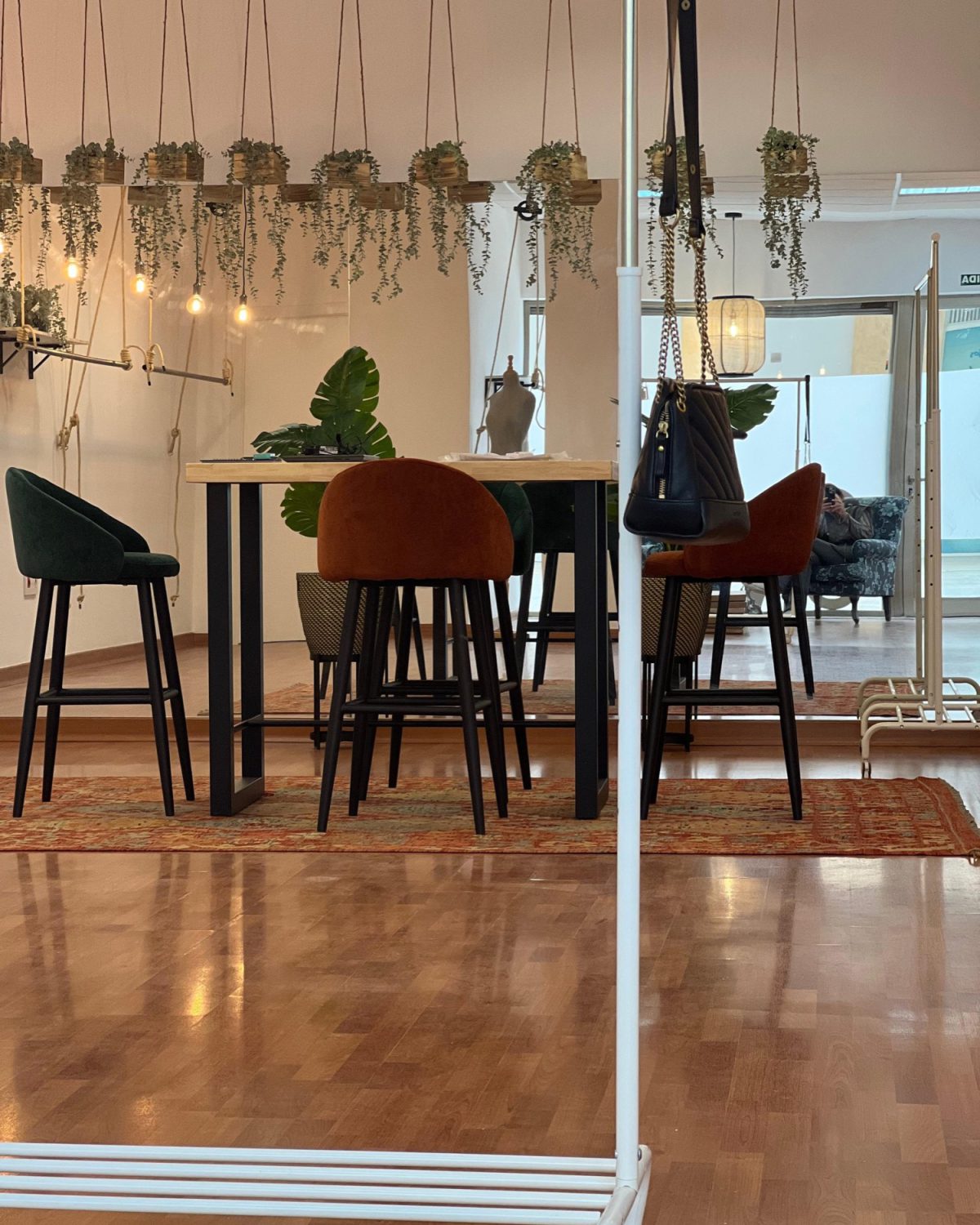 Detalle del interior del showroom con plantas colgantes